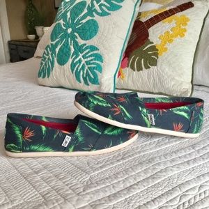 Cute Toms Bird of Paradise canvas slip-ons Sz 8